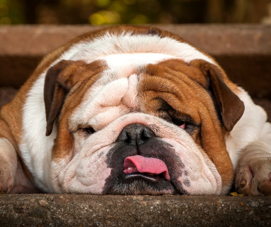 RecoveryIntl's tweet image. How do you maintain a humorous disposition?