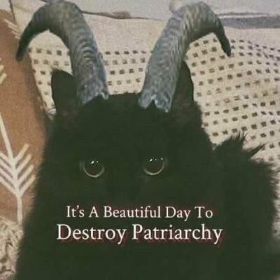 dweebdiary's tweet photo. https://t.co/fA6yeowAn1