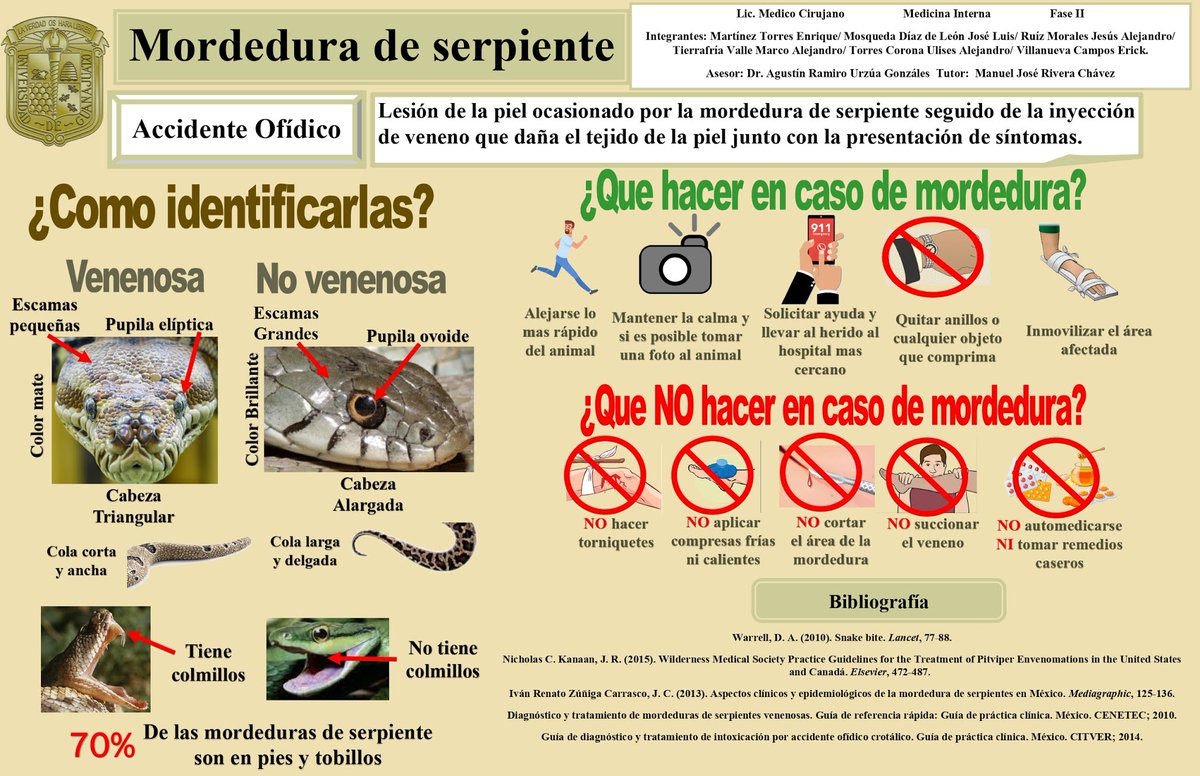 Tip_Survival's tweet photo. Datos importantes sobre las serpientes. 🐍 #serpientes # mordidas https://t.co/ykpyrZQxUf
