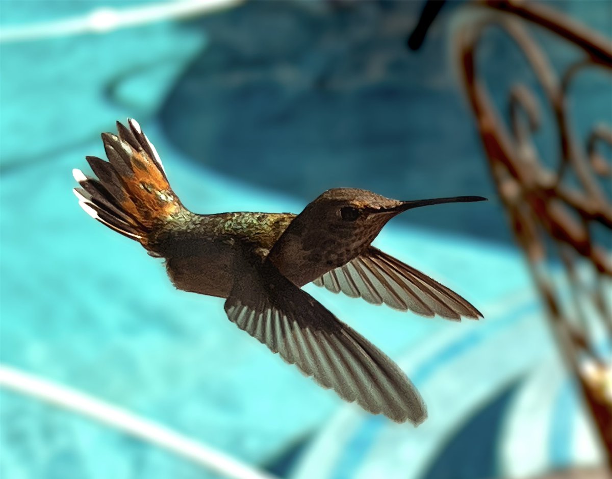 Anne Garcia tweet media