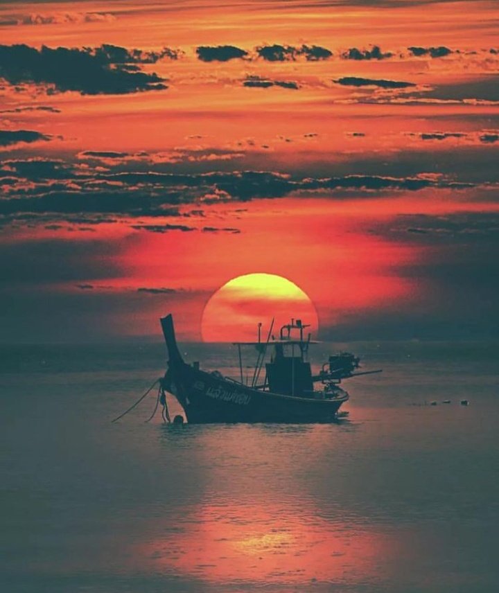 Angel_InTheSoul's tweet photo. #Pucket🧡🧡🧡🧡🧡🧡 https://t.co/pfJlTcTUoa