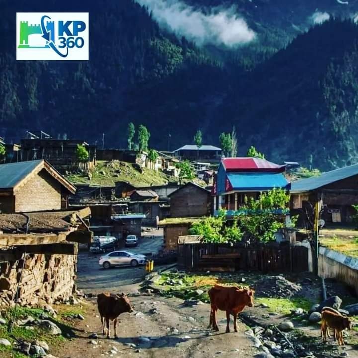 itsdimplequeeen's tweet photo. صبح کی پہلی جھلک، اترور ویلی، کالام، سوات۔۔🌅🌿
Early morning of Utror Villay, Kalam 💞
(Full view recommended)
🔸️#Utror, also spelt Atror, is a valley located in the #Swat District of #KPK. It is surrounded by snow clad mountains, green pastures and waterfalls. https://t.co/kmmlayohSP