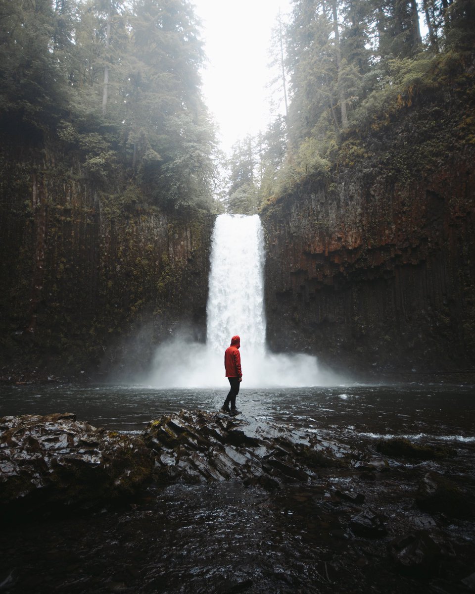 Ethan Chang tweet media