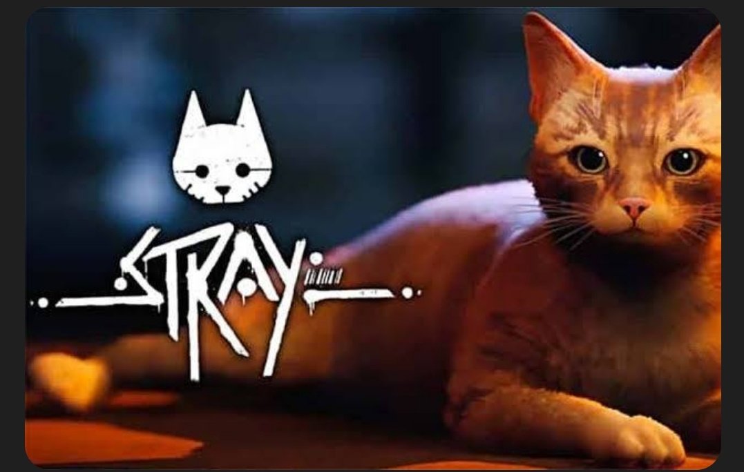 MartaGurrun's tweet photo. Alguien más deseando que salga? #Stray https://t.co/5HyDGPaXA4