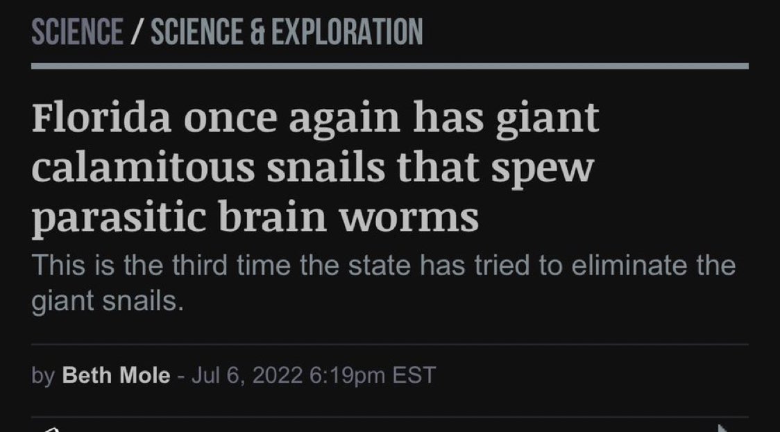 Damn, some of us just call him Marco Rubio.