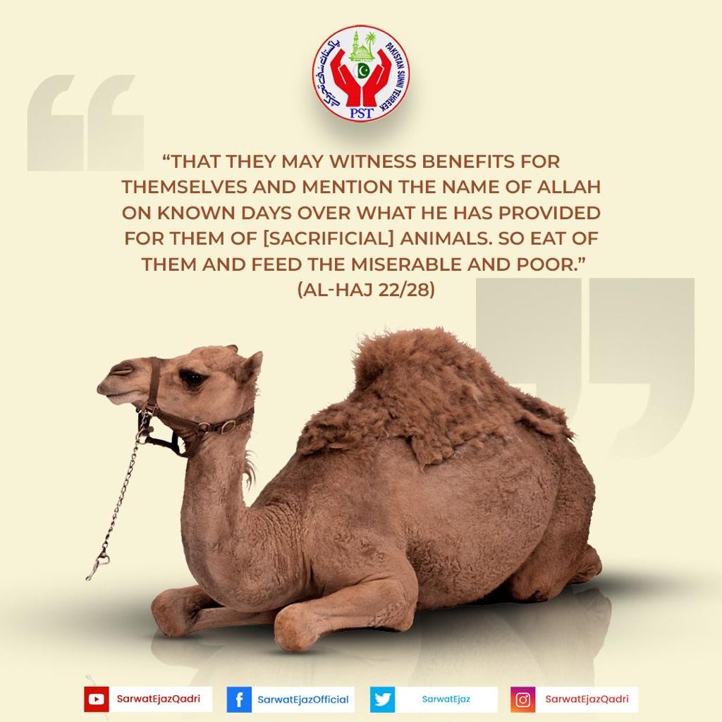 🕋 "THAT THEY MAY WITNESS BENEFITS FOR
THEMSELVES AND MENTION THE NAME OF ALLAH….

🇵🇰 #SarwatEjazQadri #PakistanSunniTehreek #JoinPST #PST #PSTNews #Pakistan #Politics #Trending #Sunni #Karachi #dhulhijjah