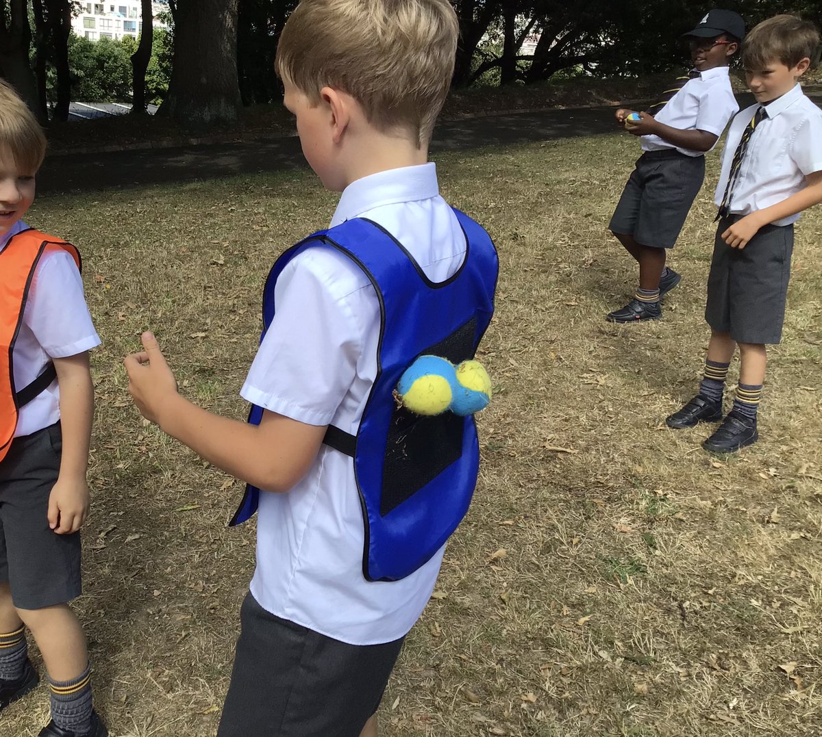 WPatemanscience's tweet photo. Year 3 learned about different methods of seed dispersal - explosion, hooks, etc. They then had to match these to each game. https://t.co/Pu1cCa9Z67