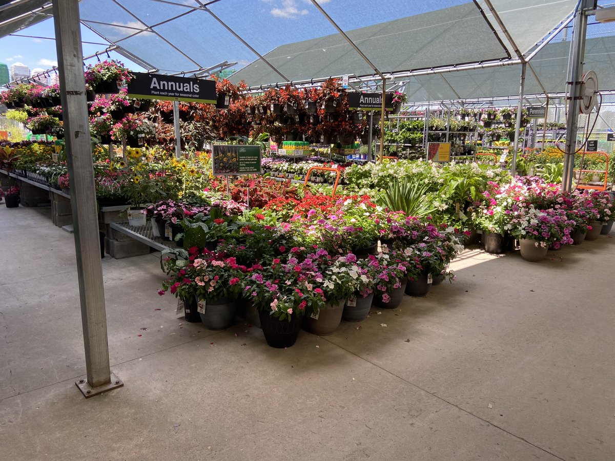 Amanda Fore tweet media