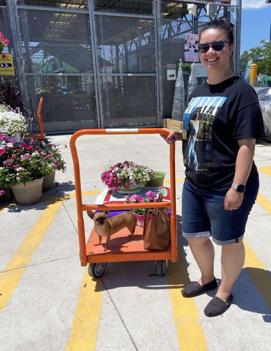 Amanda Fore tweet media