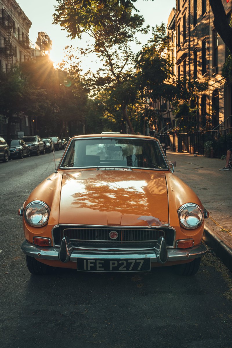 viewfinderthis's tweet photo. Orange https://t.co/orPBXtw9RX