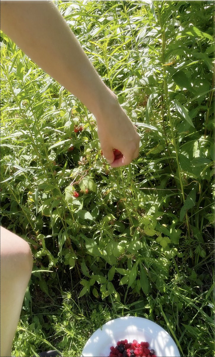 AliceFromQueens's tweet image. you: "touch grass"

me: