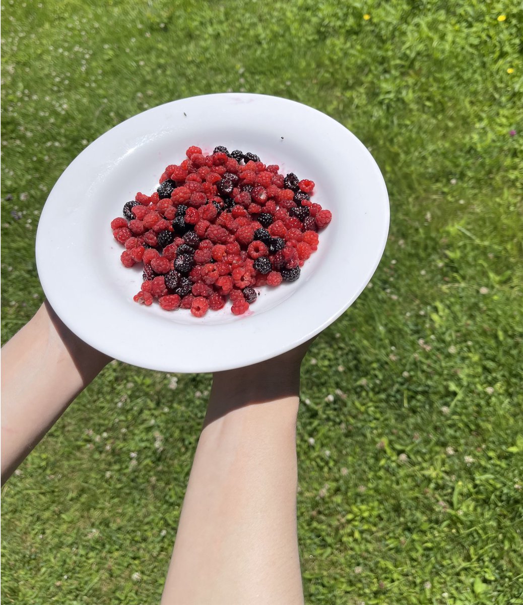 AliceFromQueens's tweet image. you: "touch grass"

me: