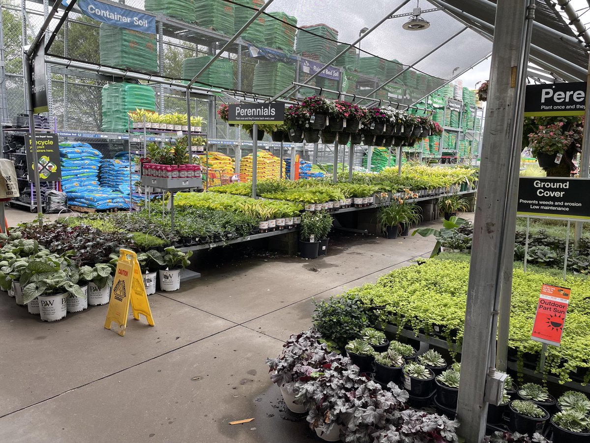 Amanda Fore tweet media