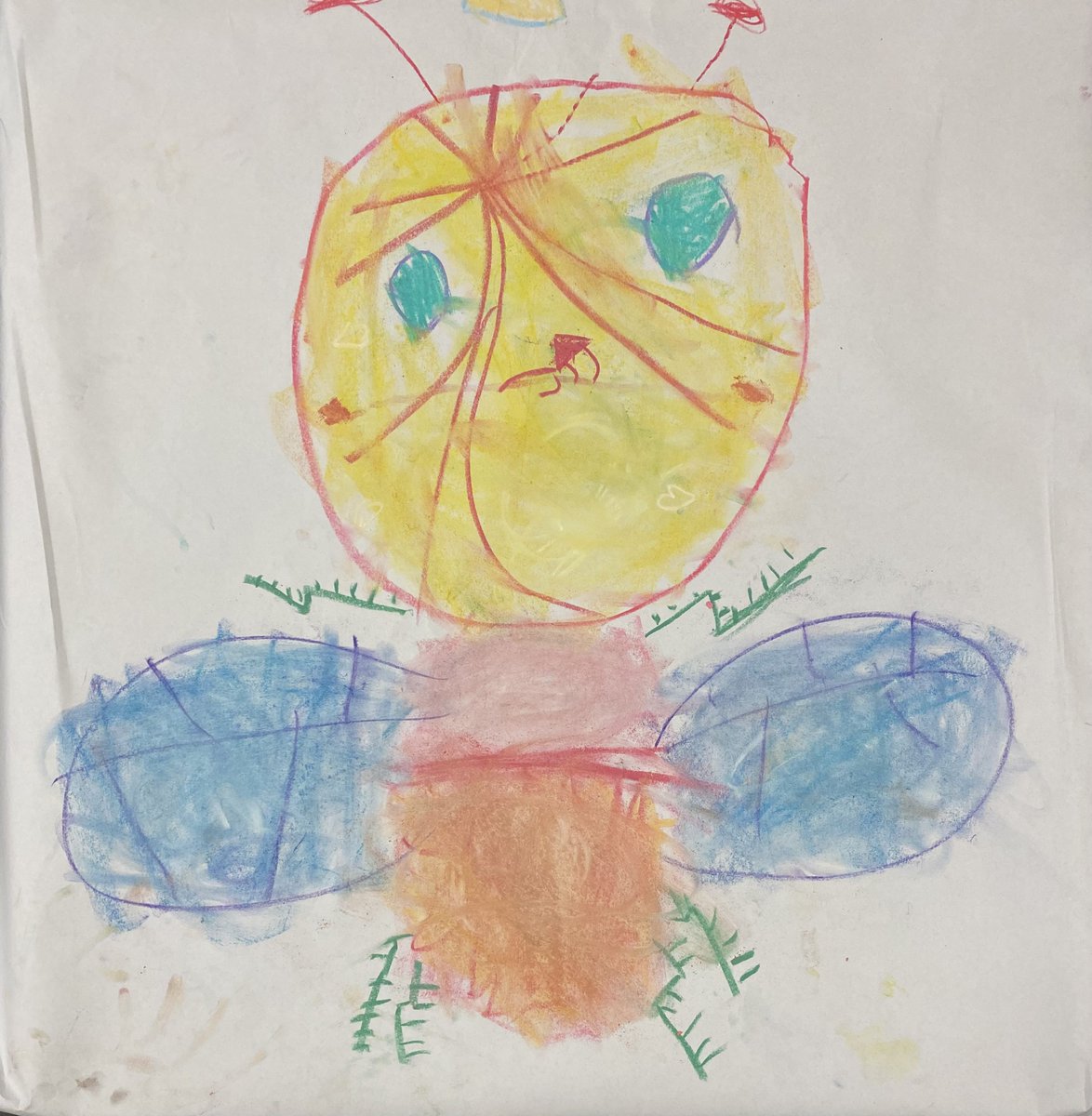 CaedmonArt's tweet photo. Giant Bug, Soft pastels 
#CaedmonArt, #CaedmonKindergarten, #CaedmonCreativity, #CaedmonStory,#MontessoriArt https://t.co/WyV7mVaFmC