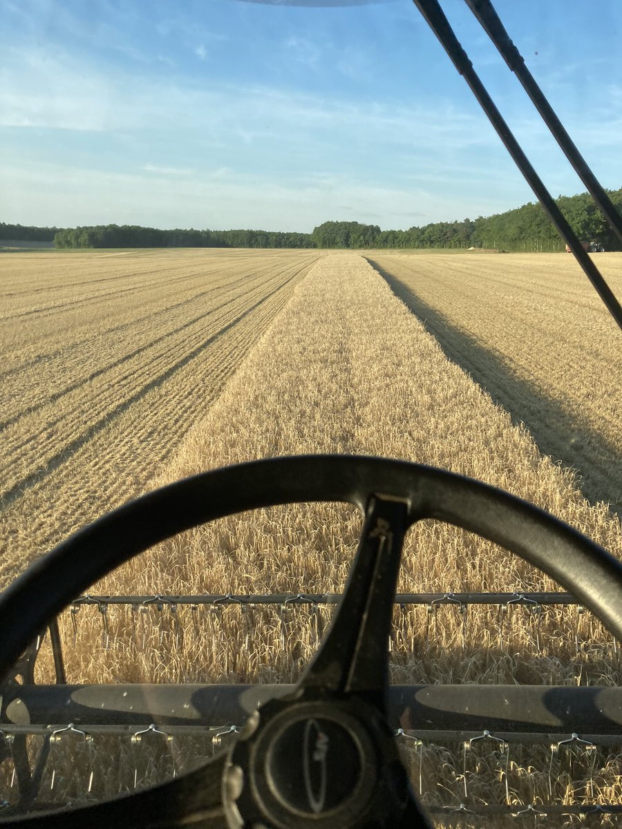 OlivierCOSTE2's tweet photo. Fin pour moi,de la #Moisson2022🥲 https://t.co/sZpza1OdhT