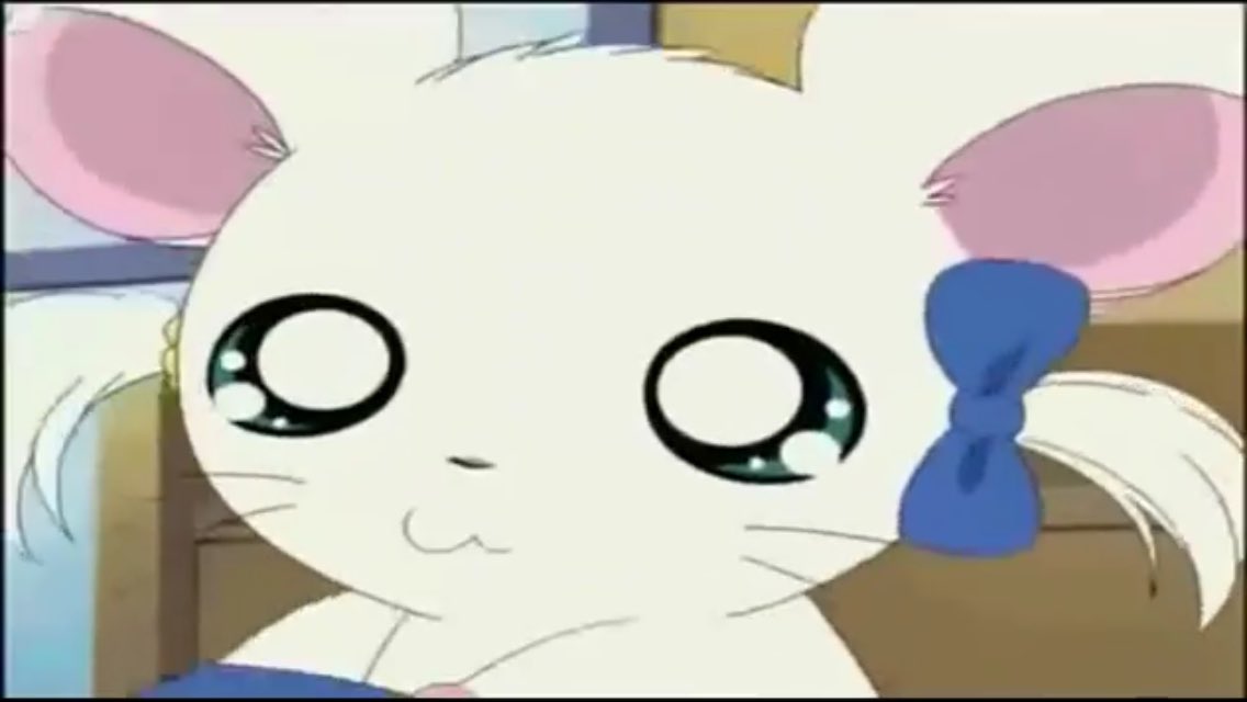 リボンちゃん Www Exceltaxisantcugat Cat