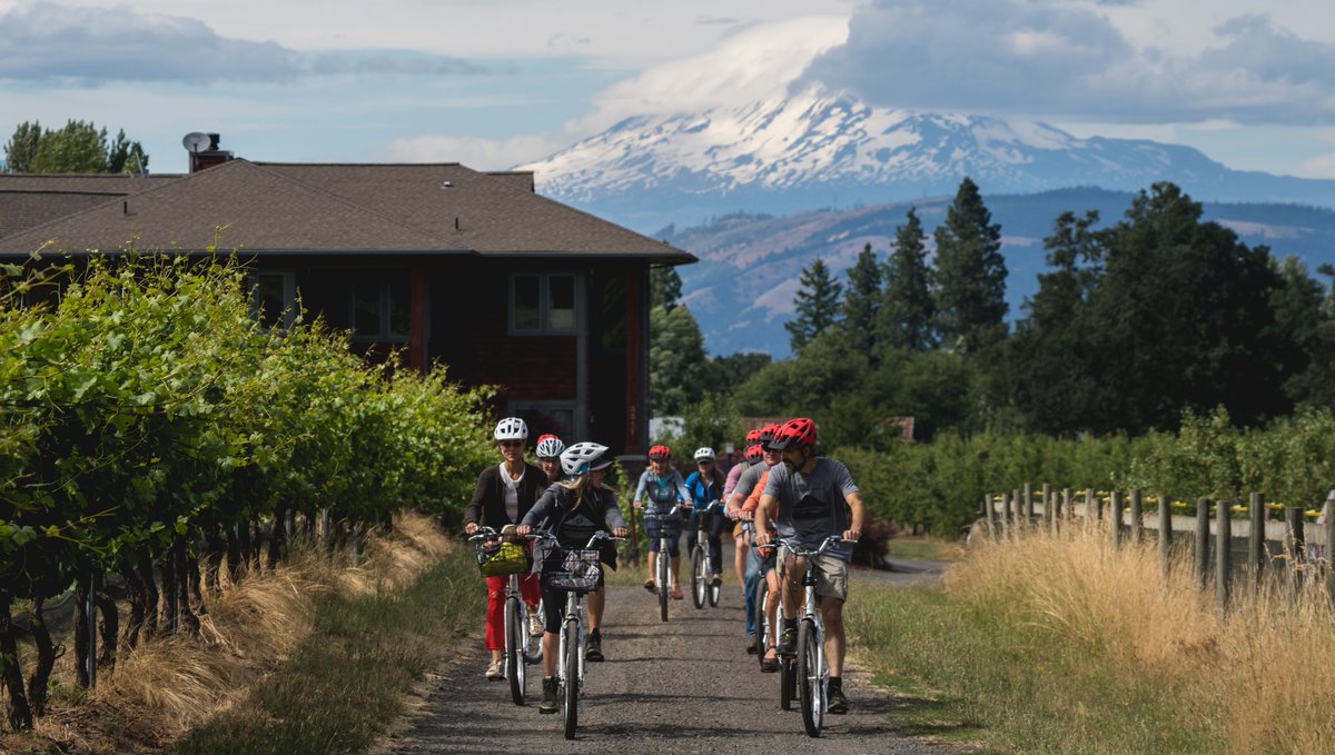 UnCruise's tweet photo. Ready to bike and wine? The last 2 weeks of our Rivers of Adventure & Wine itinerary include a guided wine and bike tour (van tour optional) with farm to table lunch. Swap stories with your shipmates over sunset cocktails and appetizers.
#UnCruise #BreakUpWithBoring https://t.co/zHZ28ui2Pi