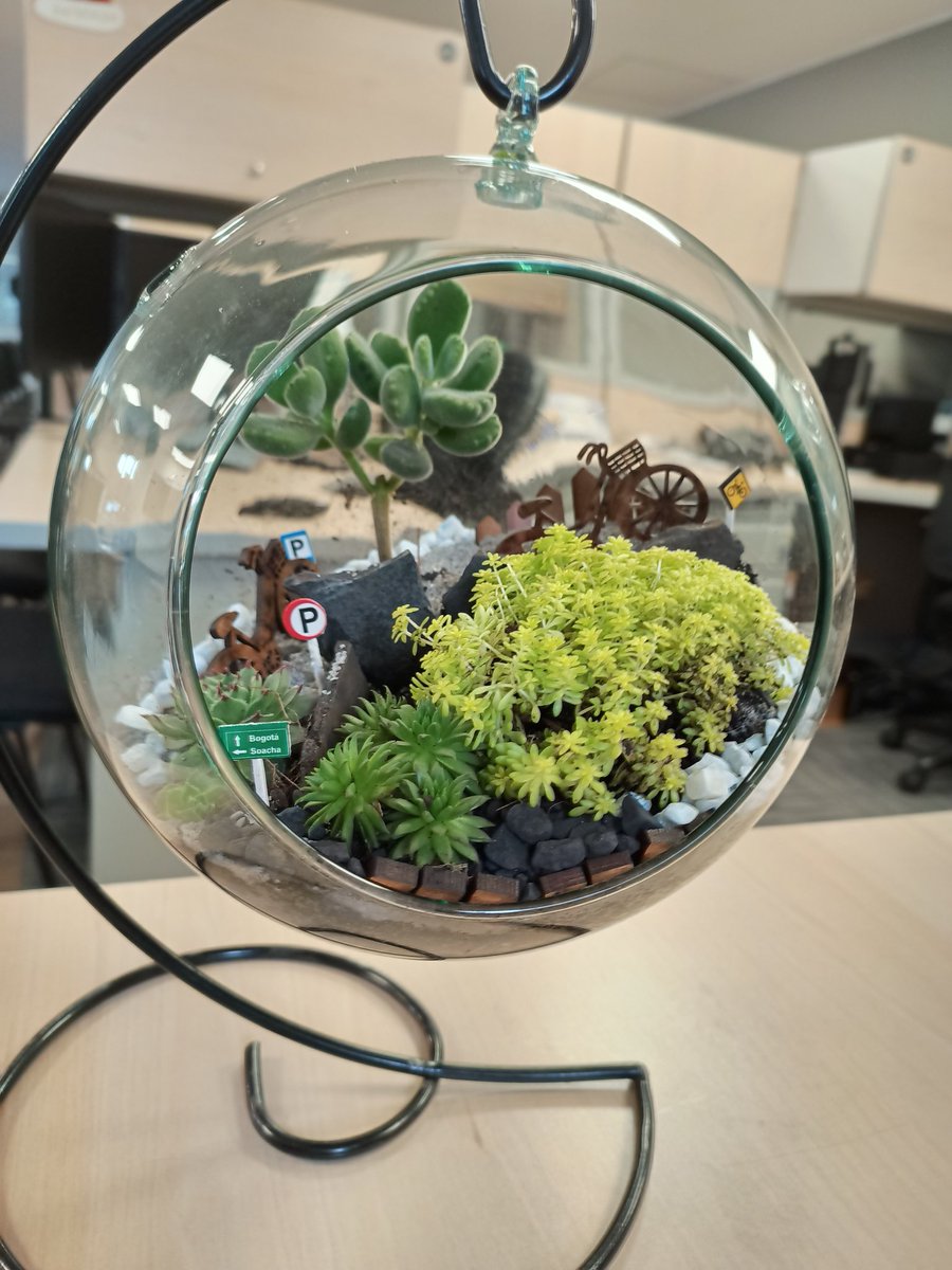 #dlmueblesynaturaleza  #decoration #suculentas #nature #job