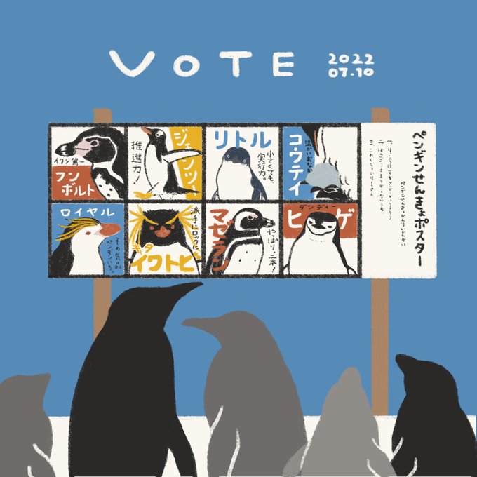 選挙に行こう🗳 