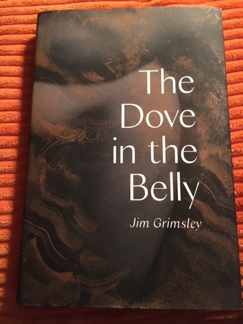 Best read of the year so far: talented writer Jim Grimsley's new novel, THE DOVE IN THE BELLY (Levine/Querido). Heartfelt, compelling young adult/new adult story. Superb!