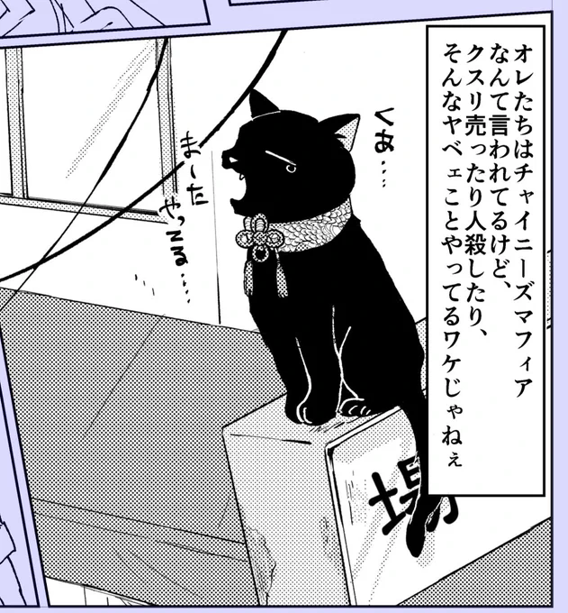 今回ぺけはこの一コマだけかな…
チャイナ風首輪にしてみた🐱 