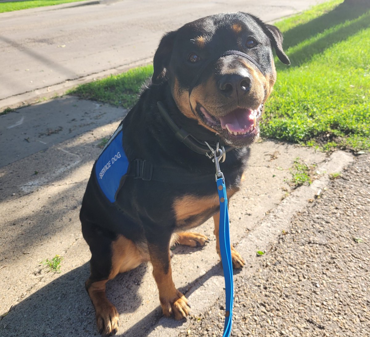 Team Servicerottie🇨🇦🐕‍🦺🦽 tweet media
