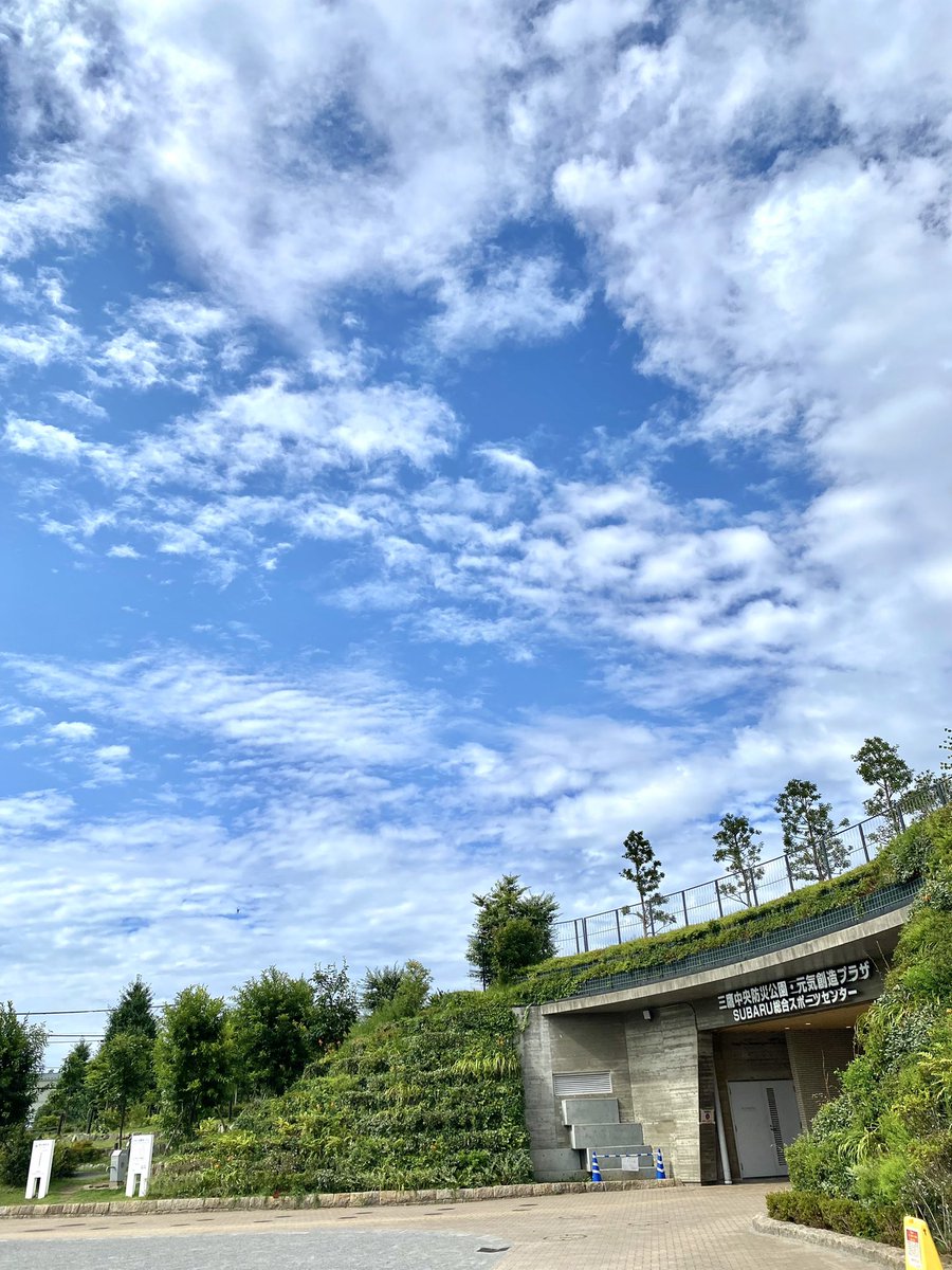 moe_moe_moe_'s tweet photo. #FinePeace
#イマソラ
今日はとことんボッチャデイ🔴🔵● https://t.co/yEA8mVH5Eu