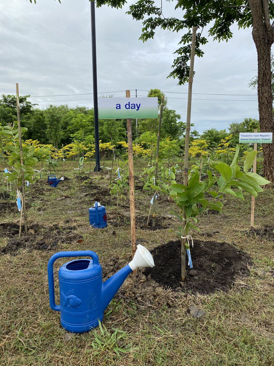 Siwapark Jianwanalee tweet media