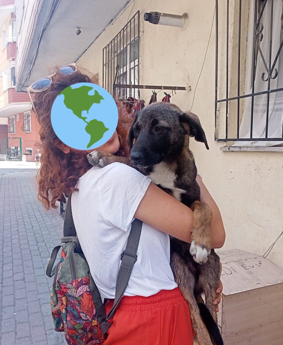 Bugün bu köpeği canavar çocuk sürüsü taciz etti. Bir taraflarına sopa sokmalar, köpeğe vurmalar, islatmalar işkenceler! ÇOCUKLARİNİZ KÖPEKTEN KORKUYOR MU GERÇEKTEN? ŞU KÖPEK KIÇINA SOPA SOKULURKEN DÖNÜP ISIRSA SUCLU KÖPEK Mİ OLACAK?