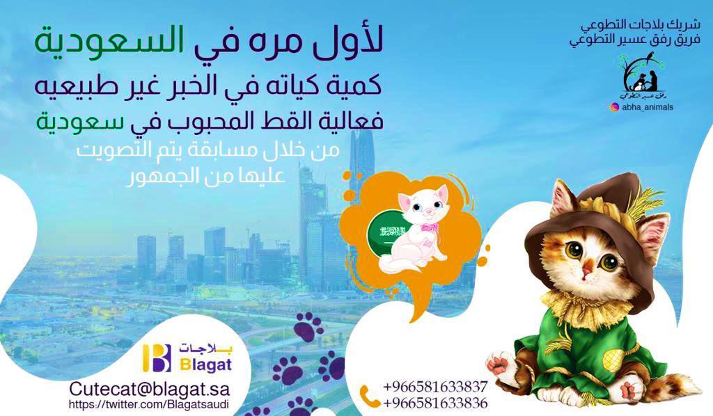 AbhaAnimals's tweet photo. #عيد_الأضحى_المبارك
أول فعاليةسعودية للقطط الهدف منها نشر حب القطط والرحمة بها وتعريف المجتمع بشكل اوسع من خلال فعاليةلطيفة تتيح للكحل مشترك الدخول في تصويت 🗳 برمجي تقني شفاف ويحصل القط الفائزعلى جائزة عبارةعن كل احتياجات القطة او القط لمدة عام تشمل الطعام و التنظيف والحلاقة https://t.co/9mOrEInjSw