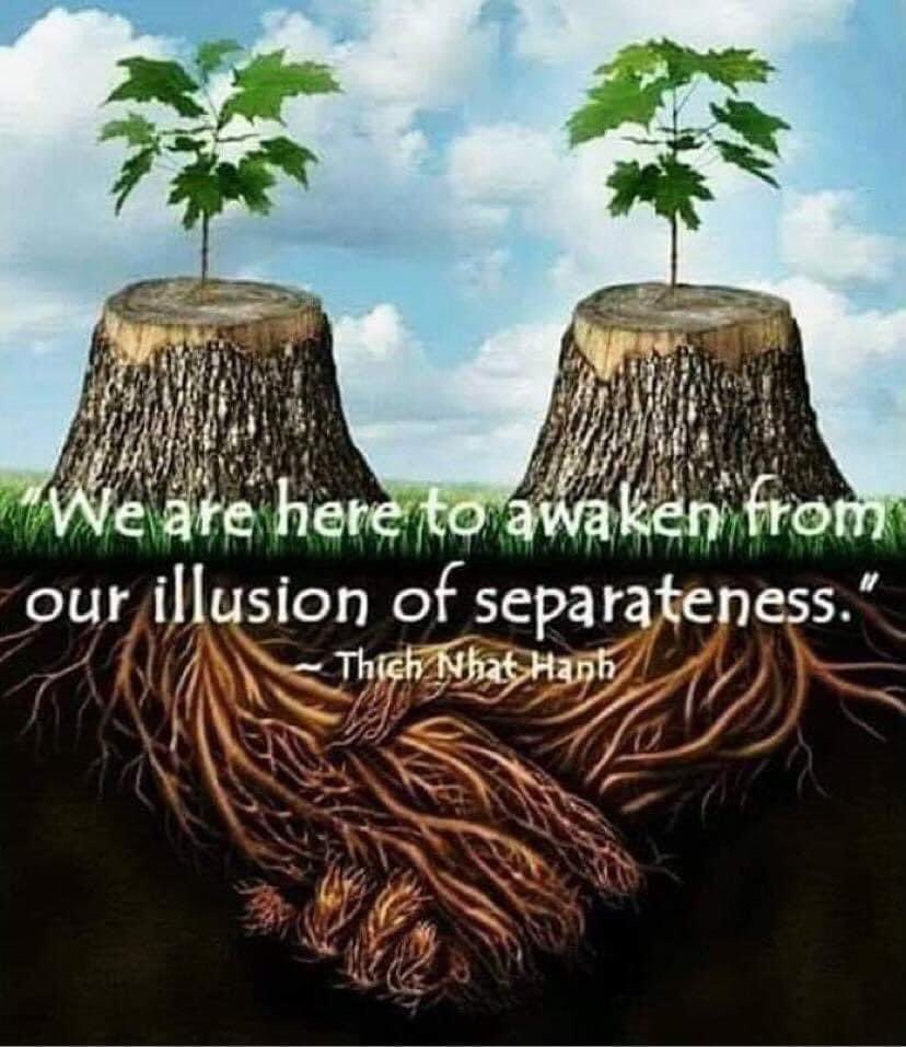 Roz (@roz15690569) on Twitter photo 