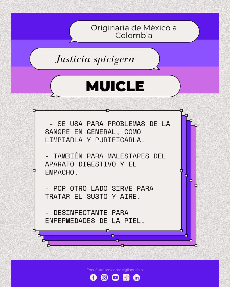 vigilante_bio's tweet photo. #muicle https://t.co/gWw7tnHtQV