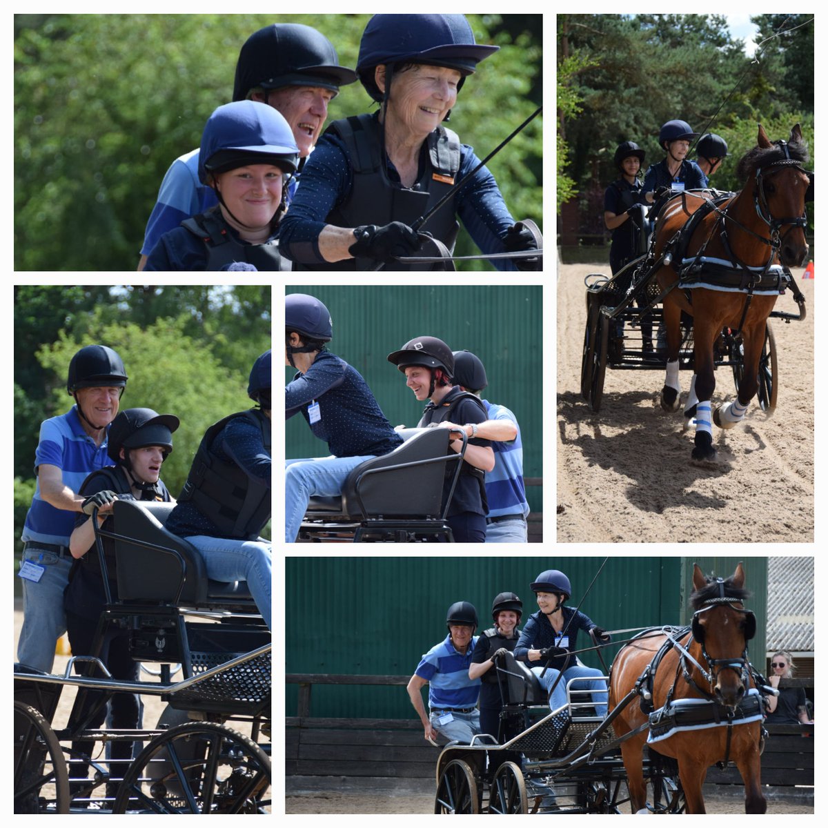 Fortune College students having a great time trying out driving! <a href="/britshdrivingsc/">British Driving Soc.</a> <a href="/ParaDrivingGBR/">Para Carriage Drivin</a> #fun #Horses