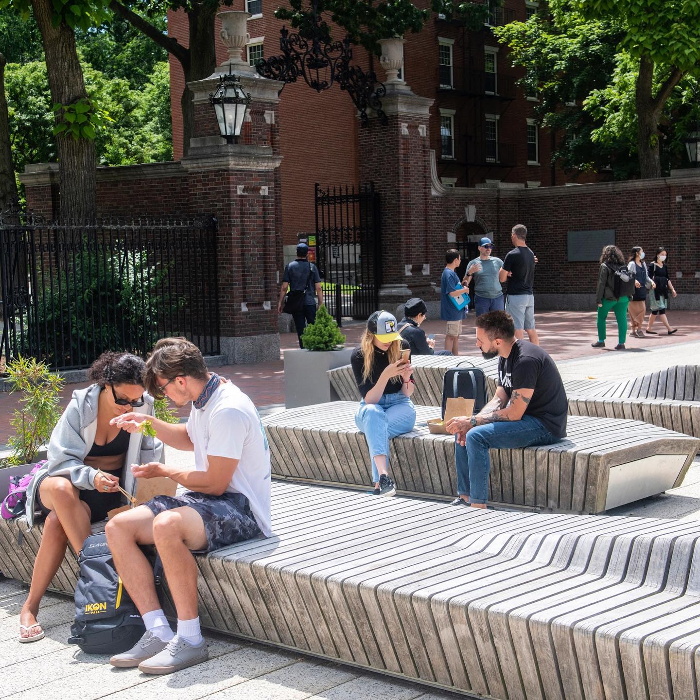 Harvard University on Twitter "Enjoying the summer weather at the