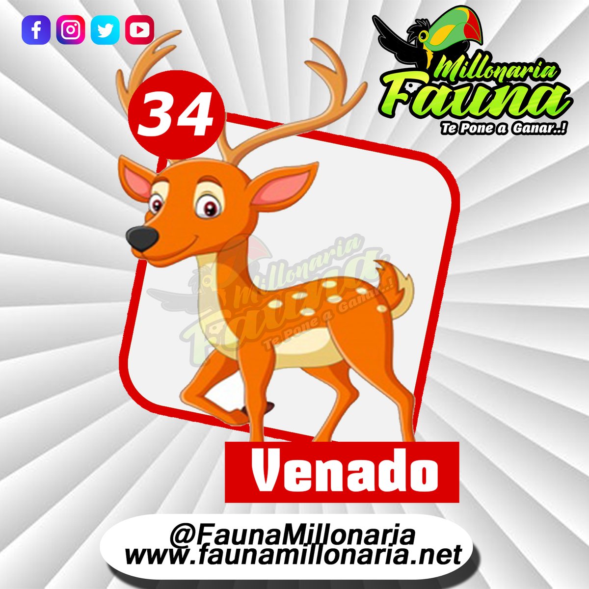 Fauna Millonaria 
Fecha 09/07/2022 
Hora : 4:30 Pm 
34  Venado
Telegram - t.me/minifauna                    
Web : faunavzla.net
