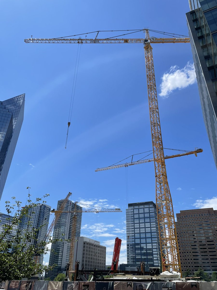 Are you counting? Eye-spy 😂 #bellevue #cranes #growth