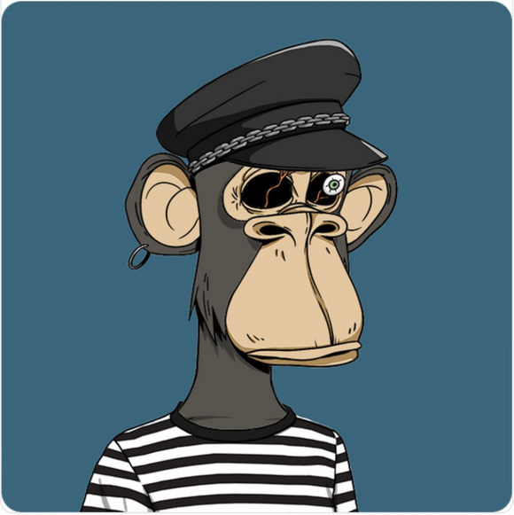 MartinFadelle's tweet photo. @srpeters ha ha ha ha merci SrPeters #GodHatesNFTees https://t.co/yxi7srDtOV