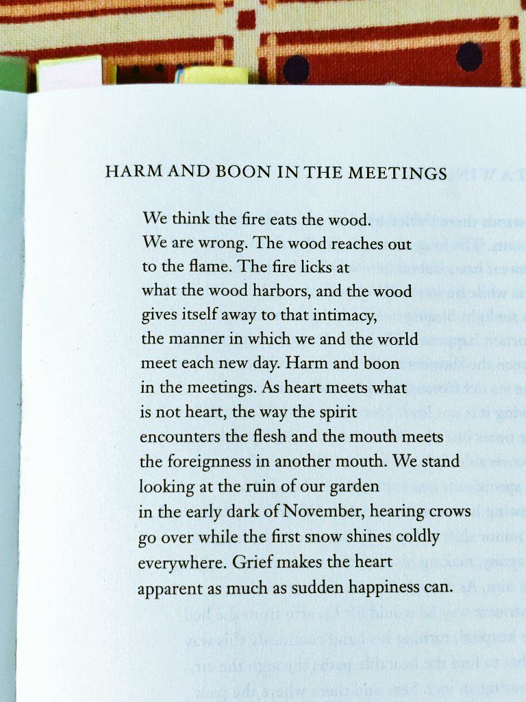tuhintranslates's tweet photo. Jack Gilbert. "Grief makes the heart / apparent as much as sudden happiness can." https://t.co/i2Co8z71Un
