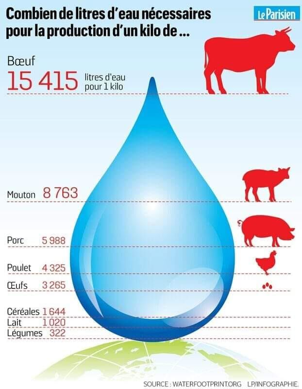Prendre conscience de l'eau utilisée par les #aliments que l'on consomme. 
#secheresse #nourriture #eau #water #sécheresse #viande