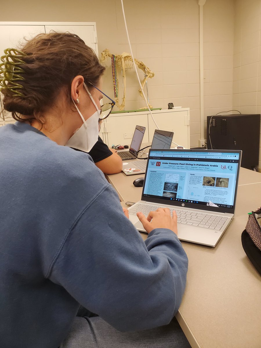 REU Bioarchaeology of Bronze Age Social Systems tweet media