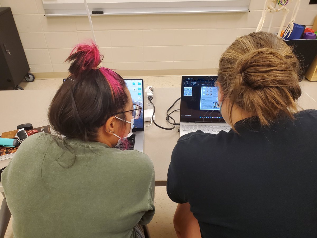 REU Bioarchaeology of Bronze Age Social Systems tweet media