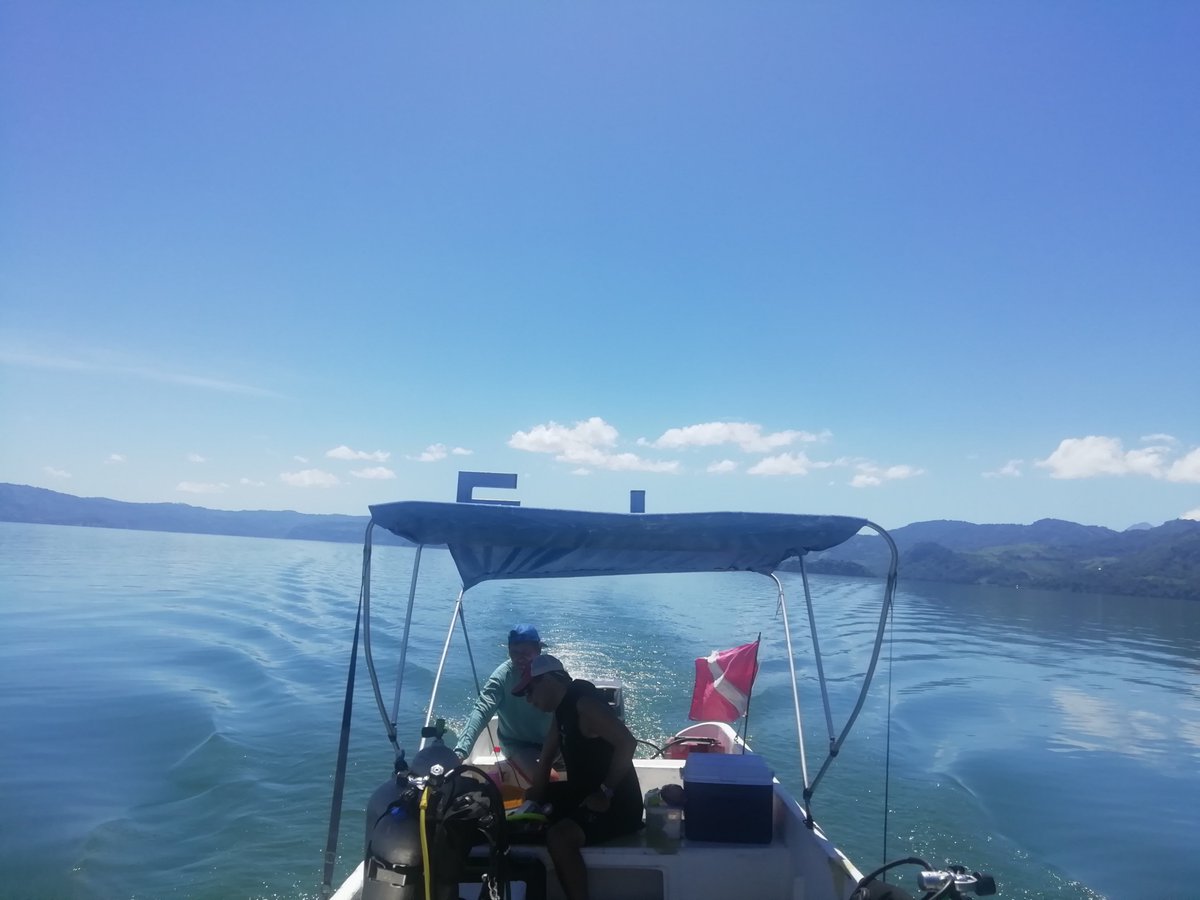 JoeCort16287249's tweet photo. Today at Ilopango. Great dives today! https://t.co/AIMFIFsr3W