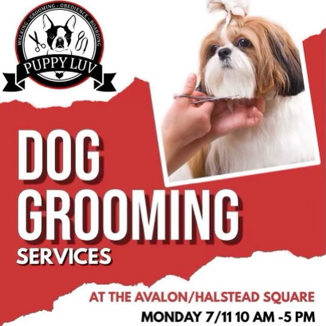 HalsteadSquare's tweet photo. Don’t forget that grooming day for our Halstead pups is Monday, July 11th with @puppyluvcompany! Check your email to sign up today!
#UndeniablyHalstead
#apartmentliving #halsteadsquare #livecolorfully #lofts #lotus #DunnLoring #Merrifield #bozzuto #Fairfax #MosaicDistrict #woof https://t.co/AUGvM26k8C