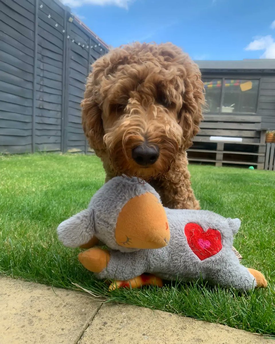 Joseph Holmes tweet media