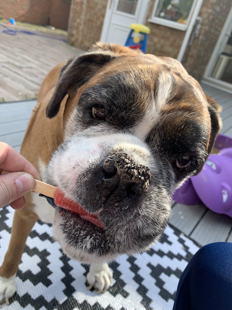 Happy heavenly birthday to my big man 💔