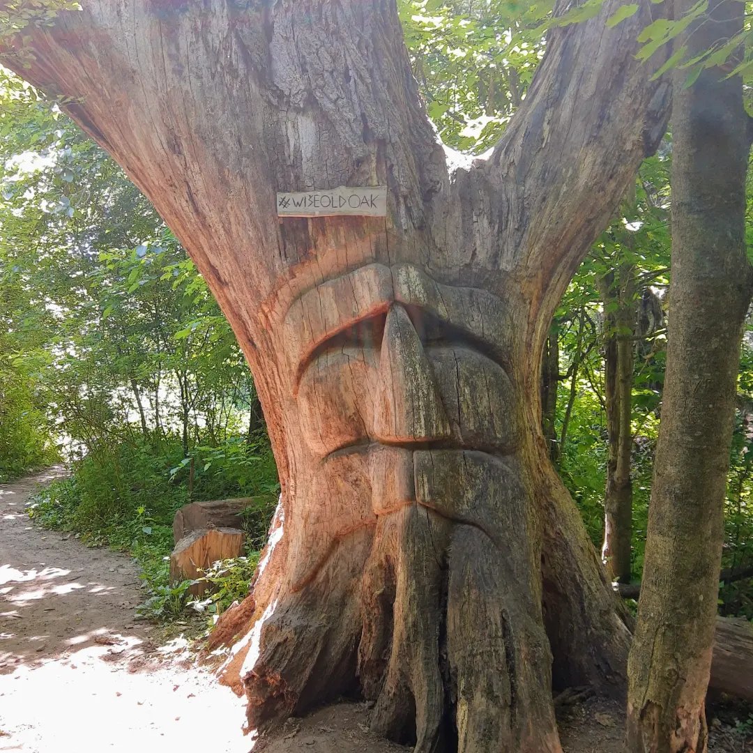 kellie chouinard tweet media