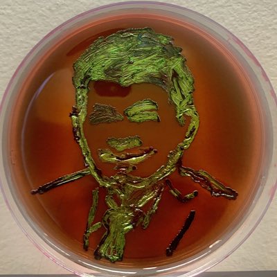 #NewProfilePic