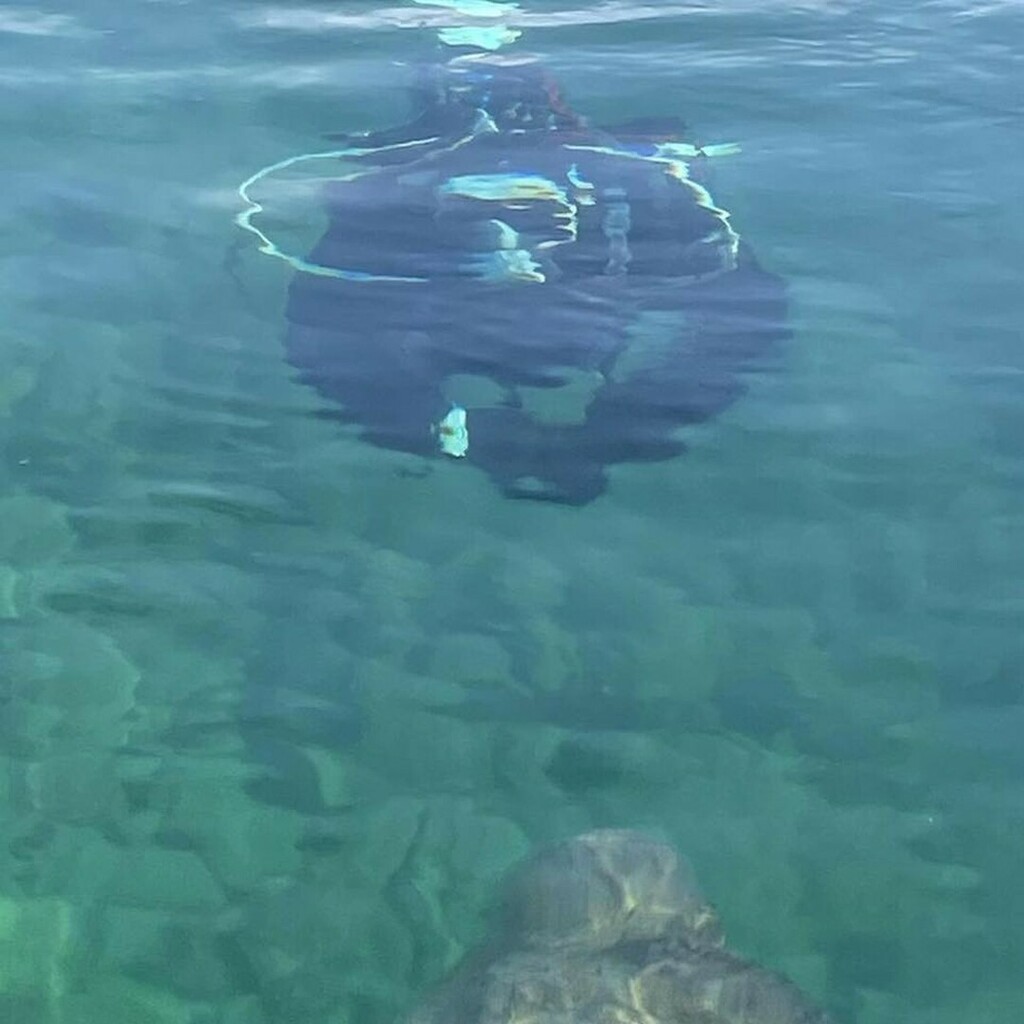 BespokeScuba's tweet photo. #uk #diving #bespokescubadiving  #fun 
diving beauty!
https://t.co/z1METO0OBB https://t.co/3lza50eRl0 https://t.co/okPkdAyjsr