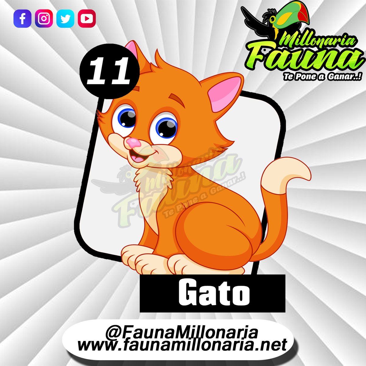 Fauna Millonaria 
Fecha 09/07/2022 
Hora : 5:30 Pm 
11  Gato
Telegram - t.me/minifauna                    
Web : faunavzla.net