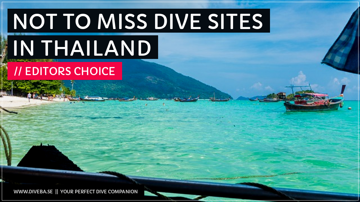 divebaseapp's tweet image. Todays highlight: 

✔ Not to miss dive sites in Thailand

📲 Download the #Divebase App for iOS and Android and discover great dive locations! go.diveba.se